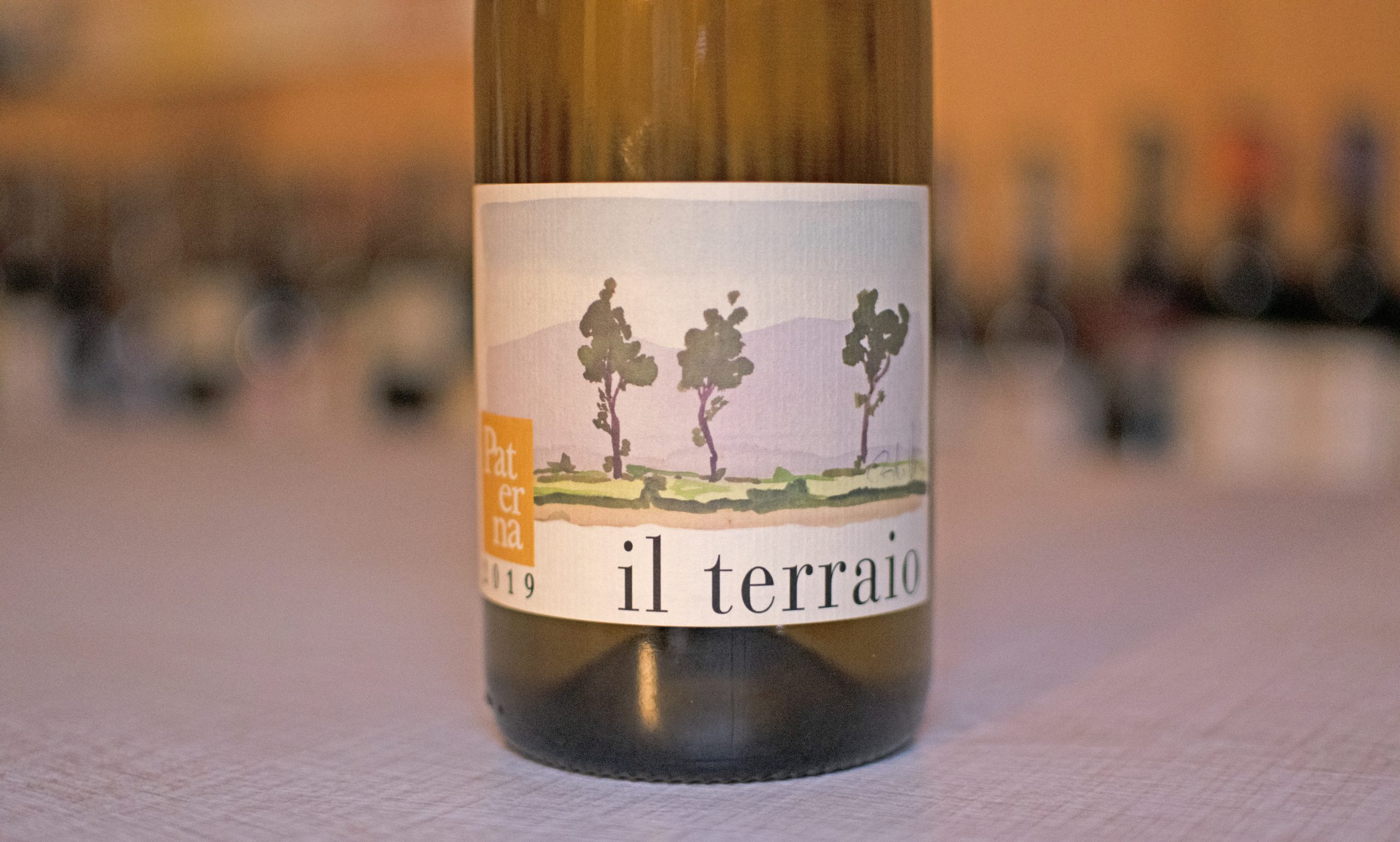 Paterna, Il Terraio / Plat Terre – Mer